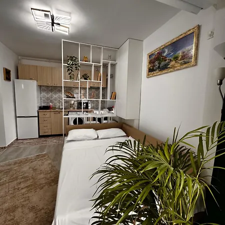 Apartment Marului *